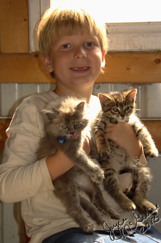 Adrian and kittens