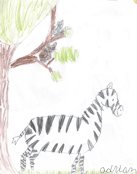 Zebra By Adrian Colored Pencils 9 October 2015